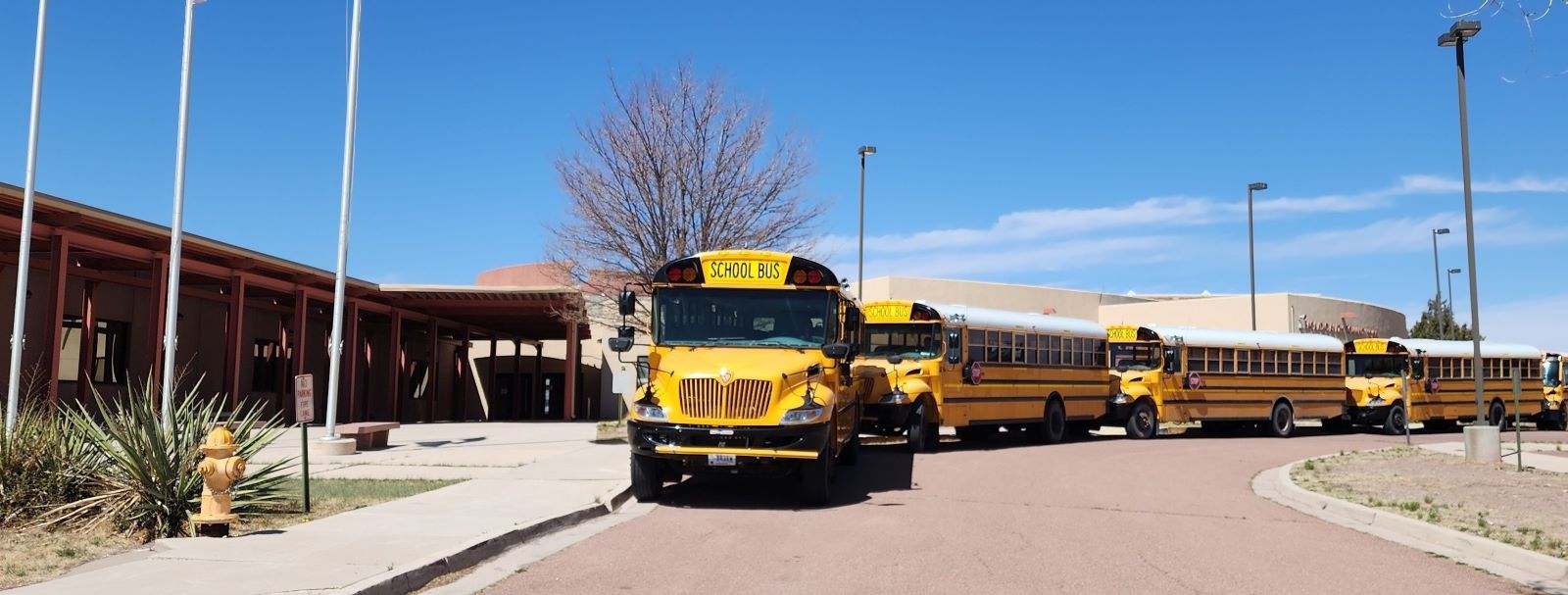 Yellow school buses lined up in front of school waiting to pickup students.