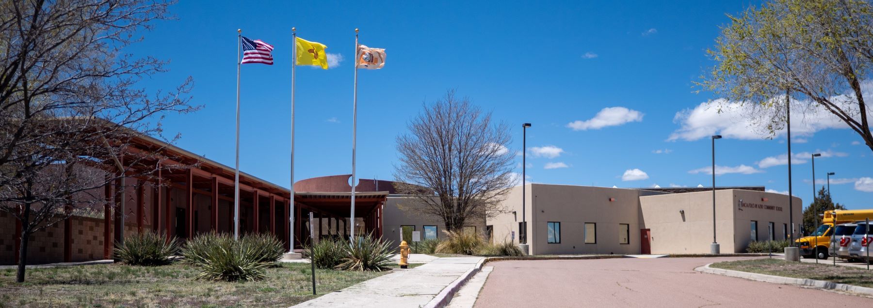 School building surrounded by flags and a flagpole, creating a festive and patriotic atmosphere.