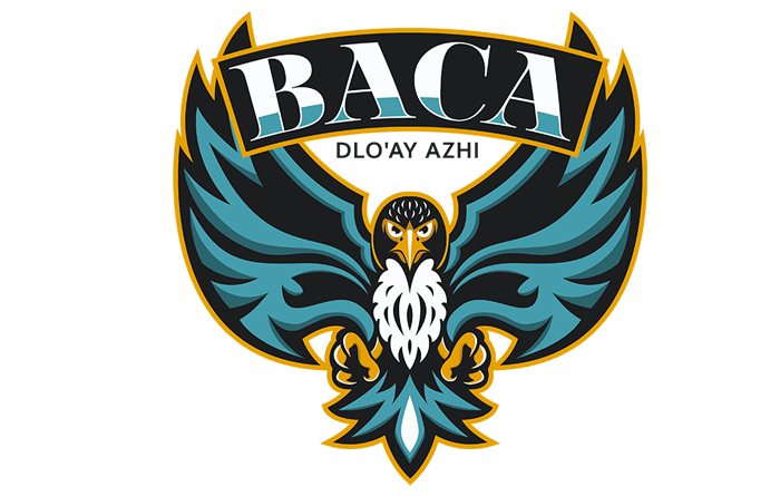 Baca/Dlo'Ay Azhi Community School – The Falcons