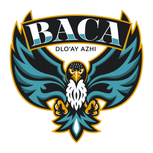 Baca/Dlo'Ay Azhi Community School logo